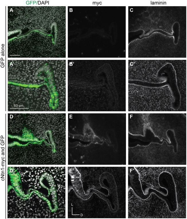 Fig. 4.