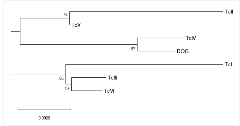 FIGURE 2: