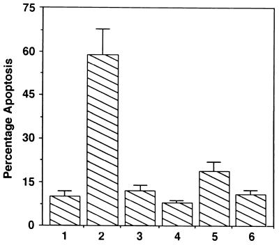 FIG. 9