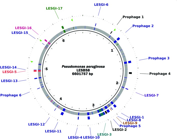 FIGURE 3