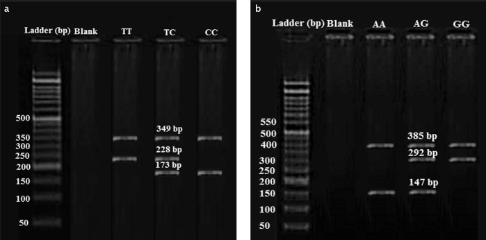 Figure 1. a, b