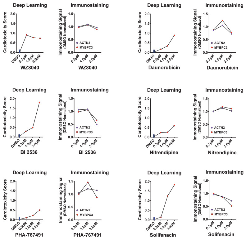 Figure 5—figure supplement 2.