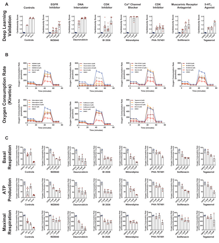 Figure 6—figure supplement 1.