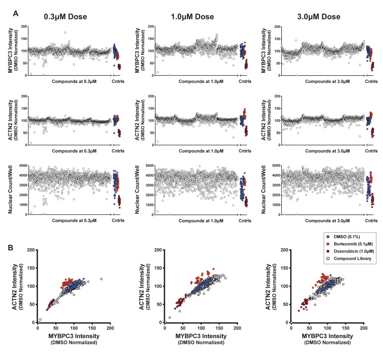 Figure 4—figure supplement 1.