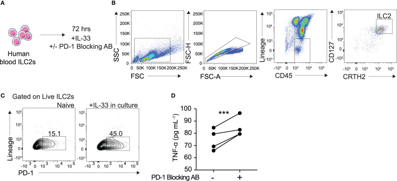 Figure 6