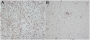 Figure 6