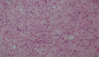 Figure 5