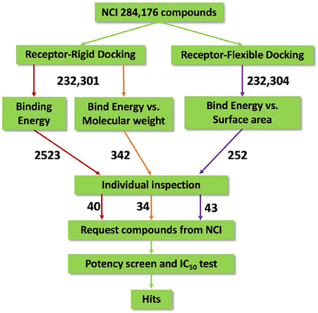 FIGURE 1