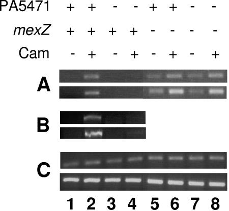 FIG. 3.