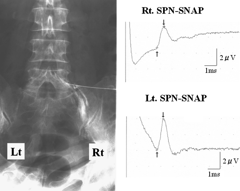 Fig. 5