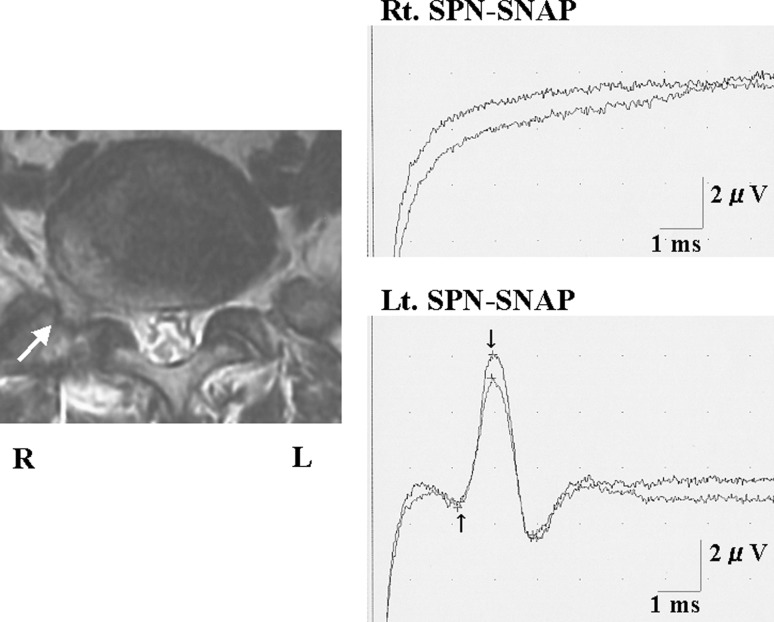 Fig. 4