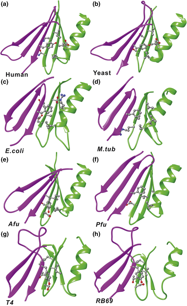 Figure 4.