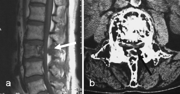 Fig. 7