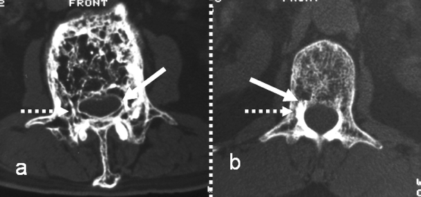 Fig. 4