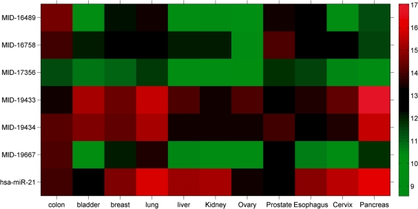 Figure 5.