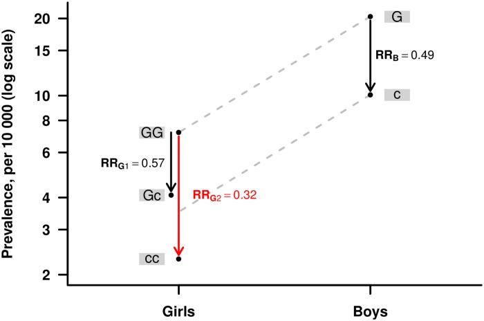 Fig 6