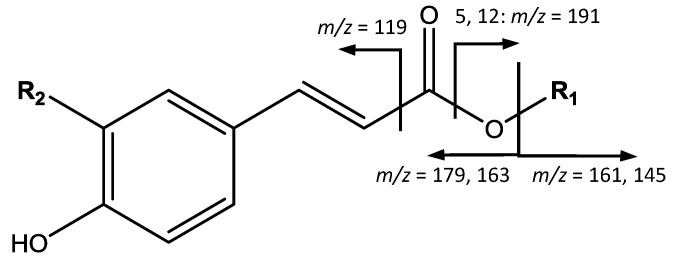 Figure 8