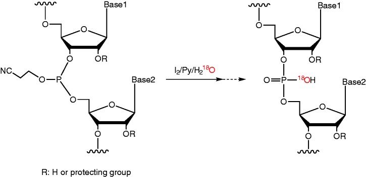 Scheme 1.