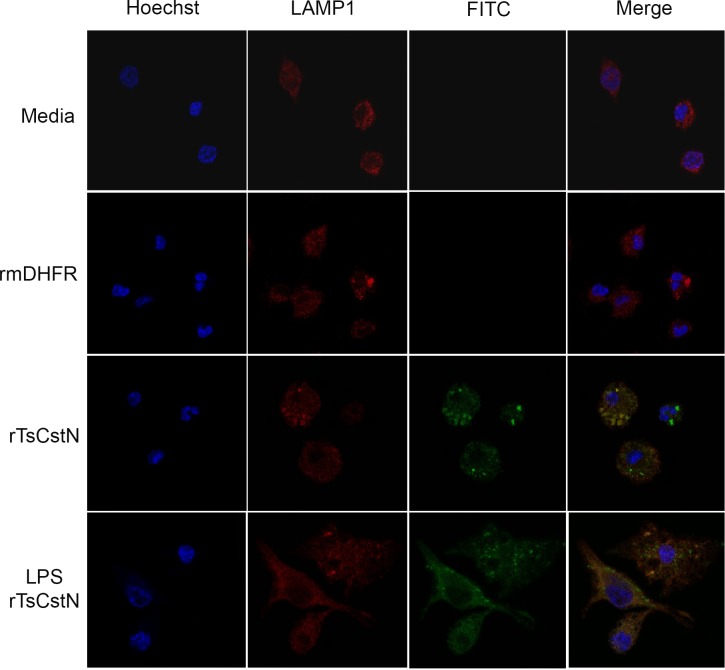 Fig 6