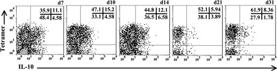 Fig. 6.