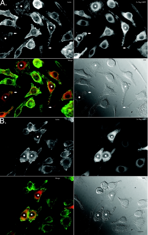 FIG. 4.