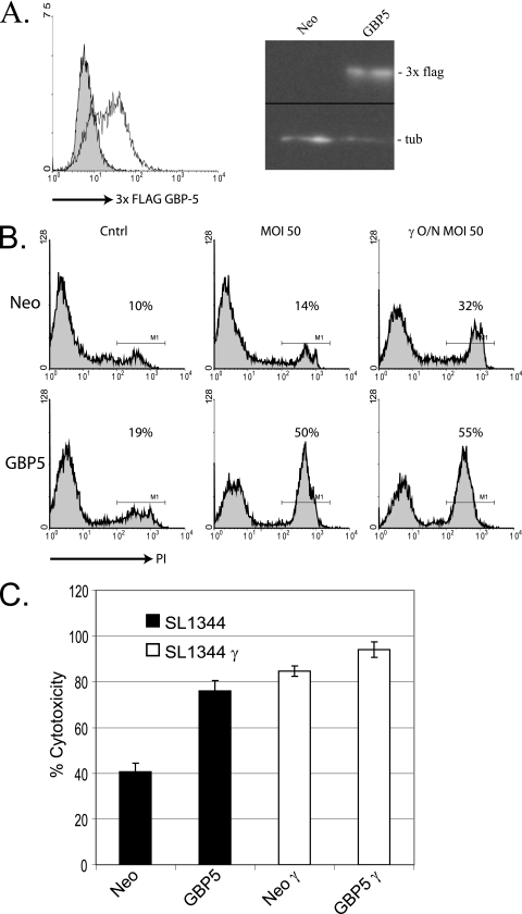 FIG. 2.