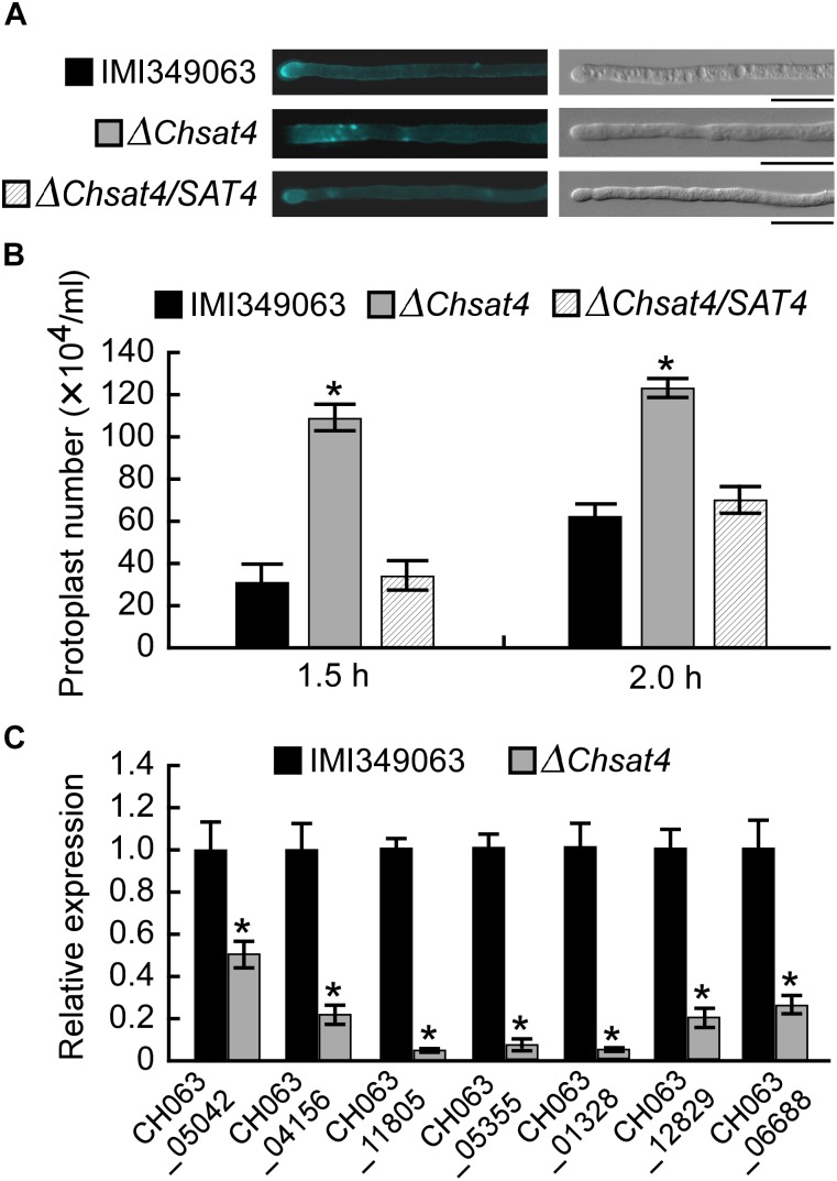 FIGURE 4