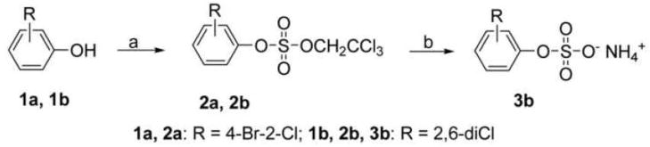 Scheme 1