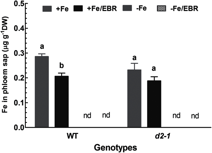 Fig. 9.