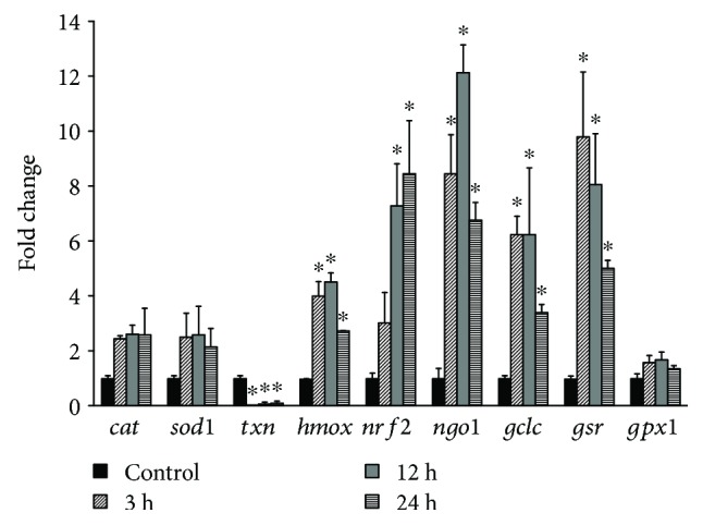 Figure 7