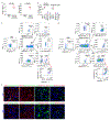 Extended Data Figure 7.