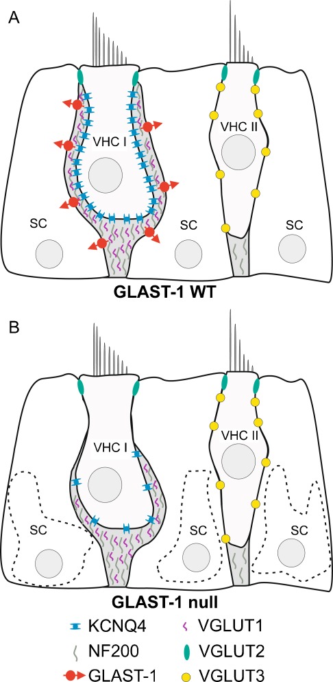 FIG. 8