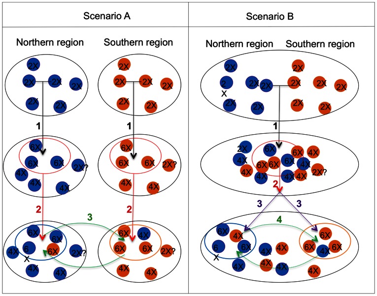 Figure 6