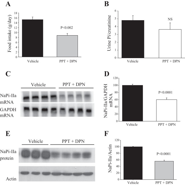 Fig. 9.