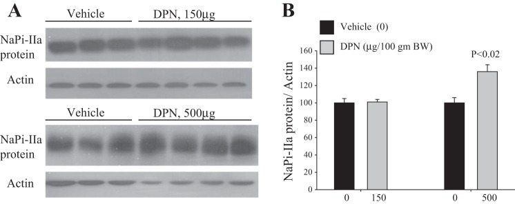 Fig. 8.