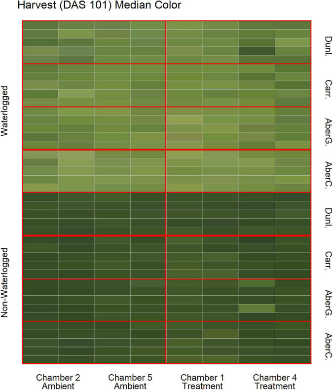 FIGURE 4