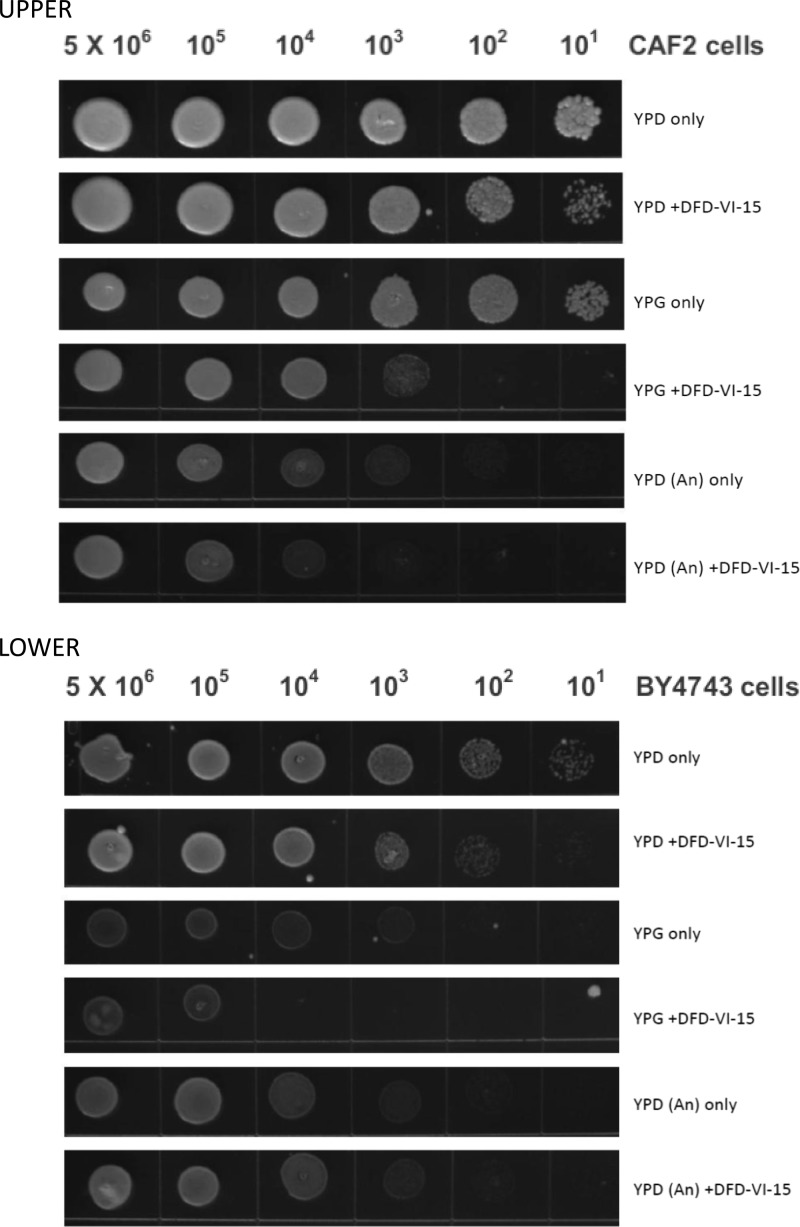 Fig 4