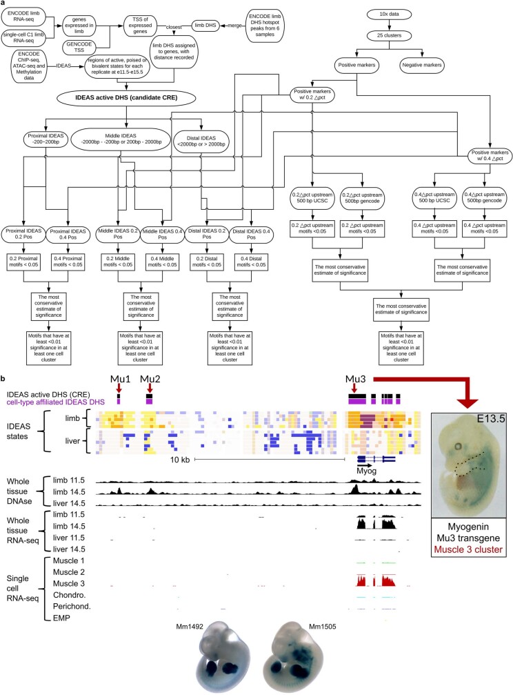 Extended Data Fig. 13