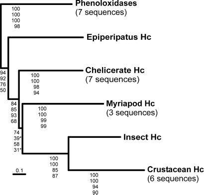 Fig 4.