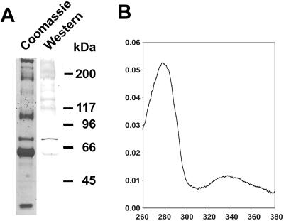 Fig 2.