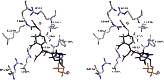 Fig. 6