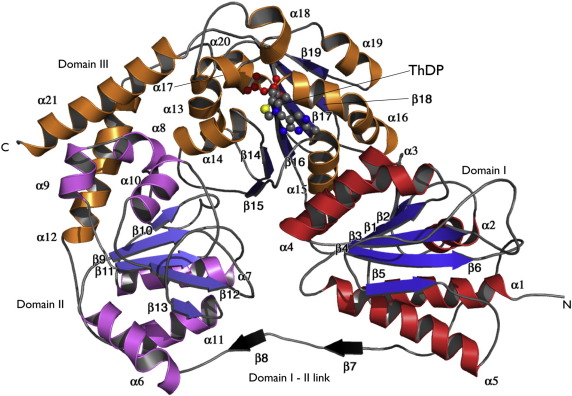 Fig. 2