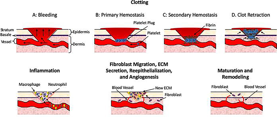 Figure 2: