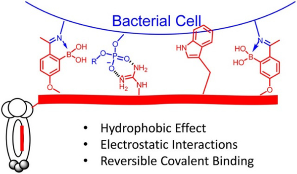 Figure 21.