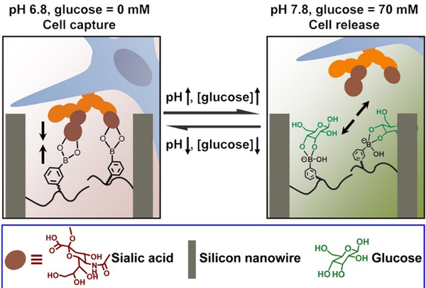 Figure 13.