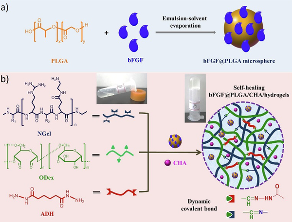 Figure 24.