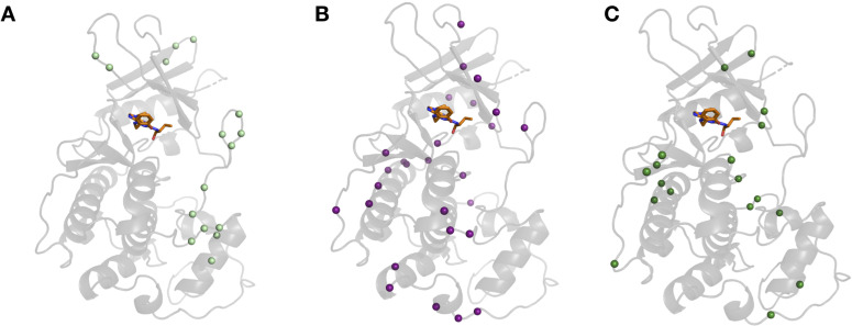 Figure 5—figure supplement 2.