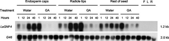 Figure 6.