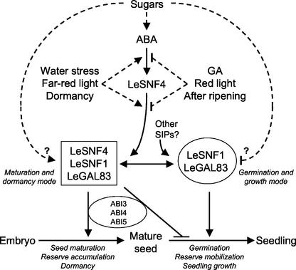 Figure 10.