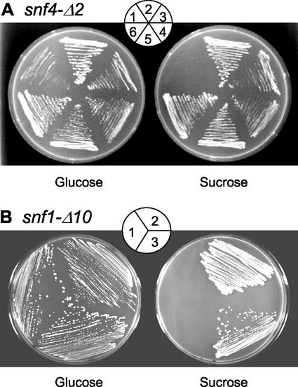 Figure 4.